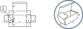 Carton Layout 0421 style