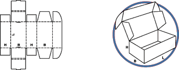 Carton Layout 0427 style